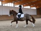 Image 57 in DRESSAGE. EASTON PARK STUD. OPTIMUM EVENT MANAGEMENT. 20 MARCH 2016