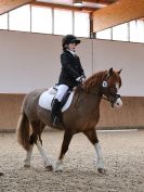 Image 59 in DRESSAGE. EASTON PARK STUD. OPTIMUM EVENT MANAGEMENT. 20 MARCH 2016