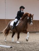 Image 61 in DRESSAGE. EASTON PARK STUD. OPTIMUM EVENT MANAGEMENT. 20 MARCH 2016