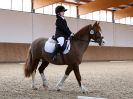 Image 63 in DRESSAGE. EASTON PARK STUD. OPTIMUM EVENT MANAGEMENT. 20 MARCH 2016