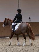 Image 64 in DRESSAGE. EASTON PARK STUD. OPTIMUM EVENT MANAGEMENT. 20 MARCH 2016