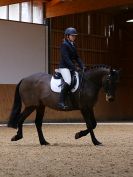 Image 79 in DRESSAGE. EASTON PARK STUD. OPTIMUM EVENT MANAGEMENT. 20 MARCH 2016