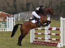 Image 12 in GT. WITCHINGHAM INT. 24 MARCH 2016. SHOW JUMPING SECTION B