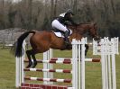 Image 13 in GT. WITCHINGHAM INT. 24 MARCH 2016. SHOW JUMPING SECTION B