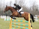 Image 15 in GT. WITCHINGHAM INT. 24 MARCH 2016. SHOW JUMPING SECTION B