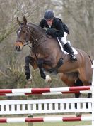 Image 7 in GT. WITCHINGHAM INT. 24 MARCH 2016. SHOW JUMPING ADVANCED INT. SEC. C