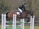 Image 5 in GT WITCHINGHAM INT. 24 MARCH 2016 SHOW JUMPING SECTION D.