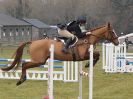 Image 10 in GT WITCHINGHAM INT. 24 MARCH 2016 SHOW JUMPING NOVICE SECTION E.