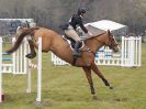Image 11 in GT WITCHINGHAM INT. 24 MARCH 2016 SHOW JUMPING NOVICE SECTION E.