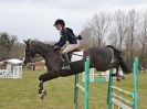 Image 2 in GT WITCHINGHAM INT. 24 MARCH 2016 SHOW JUMPING NOVICE SECTION E.