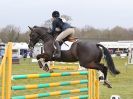 Image 3 in GT WITCHINGHAM INT. 24 MARCH 2016 SHOW JUMPING NOVICE SECTION E.