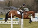 Image 4 in GT WITCHINGHAM INT. 24 MARCH 2016 SHOW JUMPING NOVICE SECTION E.