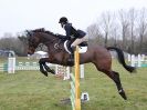Image 9 in GT WITCHINGHAM INT. 24 MARCH 2016 SHOW JUMPING NOVICE SECTION E.