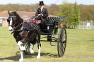 Image 20 in WOODBRIDGE  HORSE  SHOW  2013.