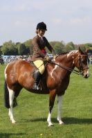 Image 21 in WOODBRIDGE  HORSE  SHOW  2013.