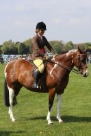 Image 21 in WOODBRIDGE  HORSE  SHOW  2013.