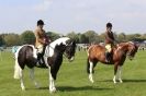 Image 22 in WOODBRIDGE  HORSE  SHOW  2013.