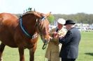 Image 32 in WOODBRIDGE HORSE SHOW 2013.