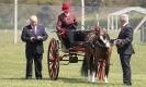 Image 35 in WOODBRIDGE HORSE SHOW 2013.