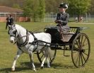 Image 36 in WOODBRIDGE HORSE SHOW 2013.
