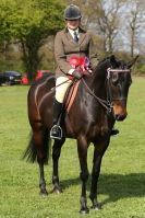 Image 6 in WOODBRIDGE  HORSE  SHOW  2013.