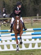 Image 2 in GT WITCHINGHAM INT. 24 MARCH 2016 SHOW JUMPING. SECTION F.