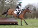 Image 111 in GT. WITCHINGHAM INT. 26 MARCH 2016.  ( DAY3 ) CROSS COUNTRY AND SHOW JUMPING PICS