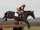 Image 27 in GT. WITCHINGHAM INT. 26 MARCH 2016.  ( DAY3 ) CROSS COUNTRY AND SHOW JUMPING PICS