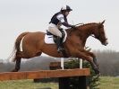 Image 40 in GT. WITCHINGHAM INT. 26 MARCH 2016.  ( DAY3 ) CROSS COUNTRY AND SHOW JUMPING PICS