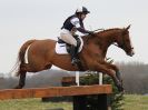 Image 40 in GT. WITCHINGHAM INT. 26 MARCH 2016. ( DAY3 ) CROSS COUNTRY AND SHOW JUMPING PICS