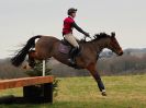 Image 5 in GT. WITCHINGHAM INT. 26 MARCH 2016.  ( DAY3 ) CROSS COUNTRY AND SHOW JUMPING PICS