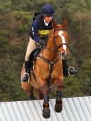 Image 12 in BURNHAM MARKET (1) 2016. DAY 1. NOVICE SECTIONS (XC)