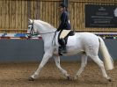 Image 10 in EAST ANGLIAN IBERIAN BREED SHOW 2016  