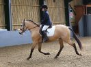 Image 100 in EAST ANGLIAN IBERIAN BREED SHOW 2016