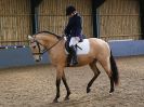 Image 104 in EAST ANGLIAN IBERIAN BREED SHOW 2016