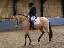 Image 104 in EAST ANGLIAN IBERIAN BREED SHOW 2016  