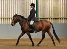 Image 108 in EAST ANGLIAN IBERIAN BREED SHOW 2016