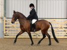 Image 109 in EAST ANGLIAN IBERIAN BREED SHOW 2016  