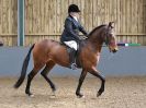 Image 110 in EAST ANGLIAN IBERIAN BREED SHOW 2016