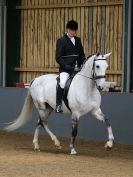 Image 111 in EAST ANGLIAN IBERIAN BREED SHOW 2016  