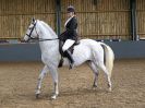 Image 116 in EAST ANGLIAN IBERIAN BREED SHOW 2016