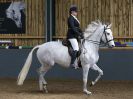 Image 117 in EAST ANGLIAN IBERIAN BREED SHOW 2016