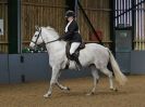 Image 119 in EAST ANGLIAN IBERIAN BREED SHOW 2016