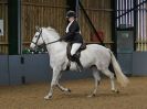 Image 119 in EAST ANGLIAN IBERIAN BREED SHOW 2016  