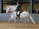 Image 120 in EAST ANGLIAN IBERIAN BREED SHOW 2016  