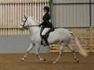 Image 121 in EAST ANGLIAN IBERIAN BREED SHOW 2016