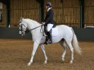 Image 126 in EAST ANGLIAN IBERIAN BREED SHOW 2016  