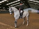 Image 133 in EAST ANGLIAN IBERIAN BREED SHOW 2016  