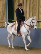 Image 137 in EAST ANGLIAN IBERIAN BREED SHOW 2016  