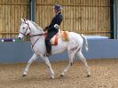 Image 139 in EAST ANGLIAN IBERIAN BREED SHOW 2016